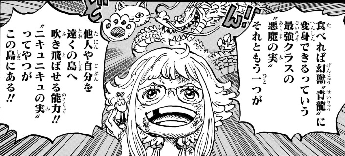 ワンピース 第1096話 ゴッドバレーの賞金となった２つの悪魔の実