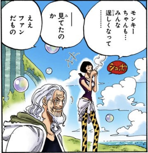 ワンピース 第603話 麦わらの一味を見送ったレイリーとシャクヤク